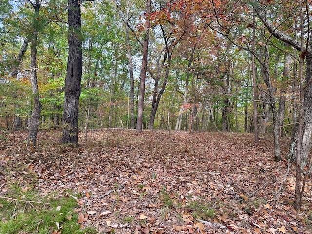 Mincey Acres Drive, Murrayville, Georgia image 6