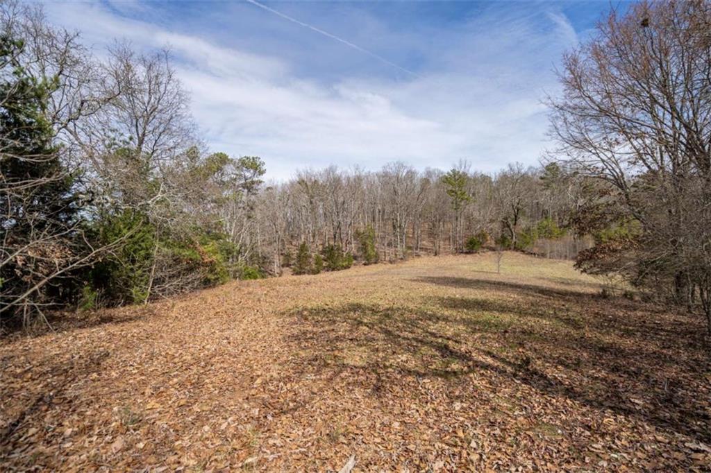 Gadsden Road, Cave Spring, Georgia image 17