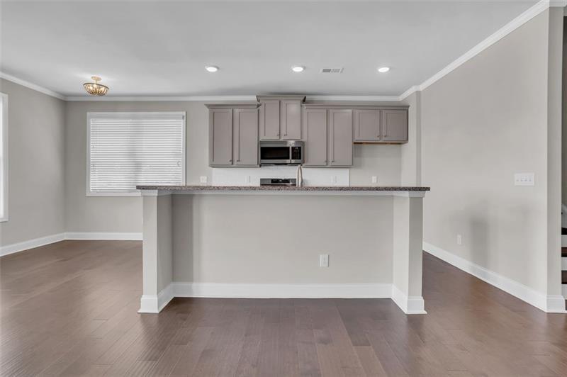 1610 Habersham Villa Drive, Cumming, Georgia image 9