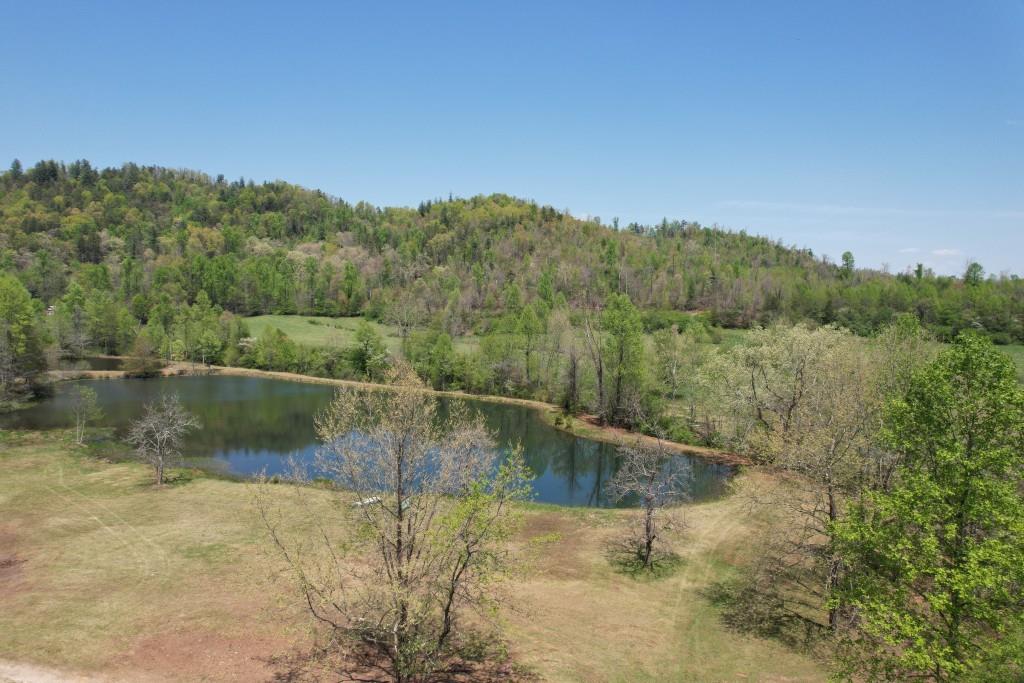 14A Verner Kastner Lane, Clarkesville, Georgia image 3