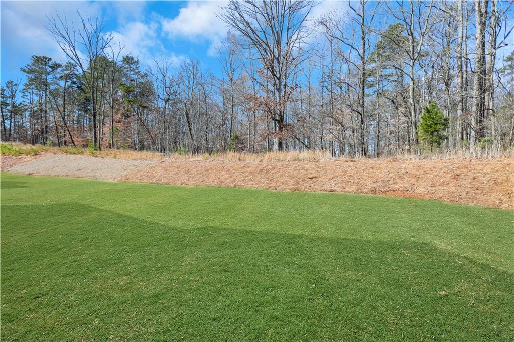 7000 Manchester Drive, Flowery Branch, Georgia image 44