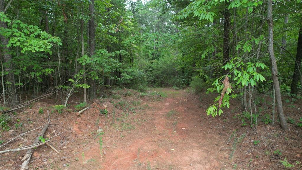 Acreage is perfect for an private estate home, farm or family compound. With gently rolling terrain, open skies, and wide-open potential, this land is ready for your vision. It offers both seclusion and accessibility — a unique find in North Georgia.