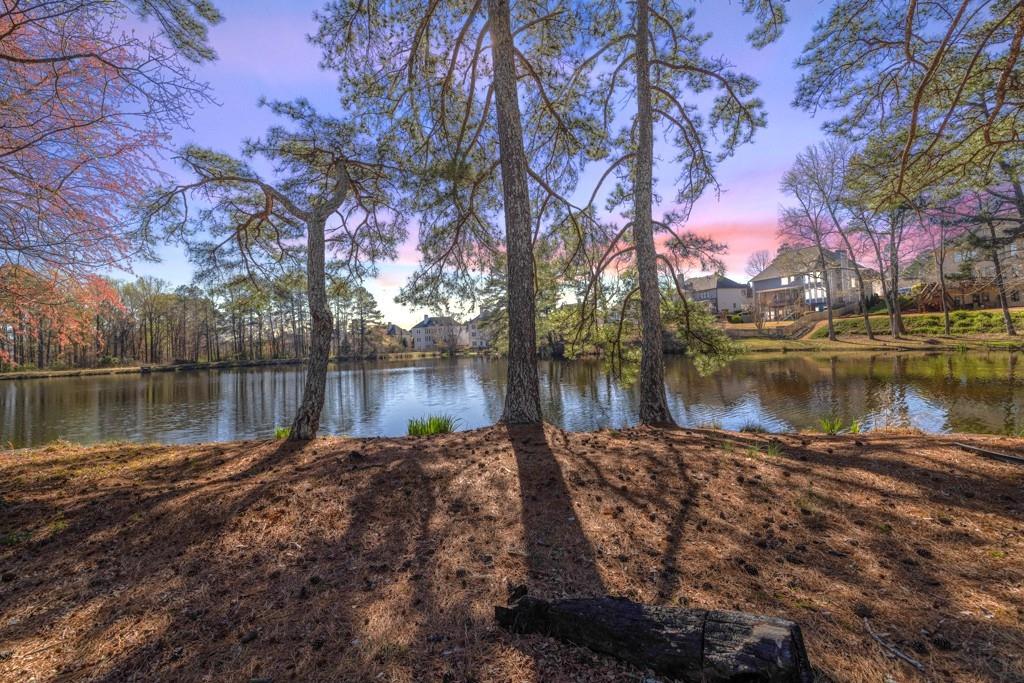 1650 Daniel Park Drive, Dacula, Georgia image 49
