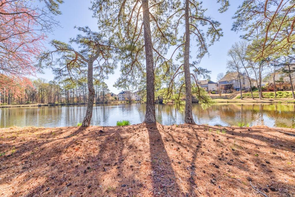 1650 Daniel Park Drive, Dacula, Georgia image 48