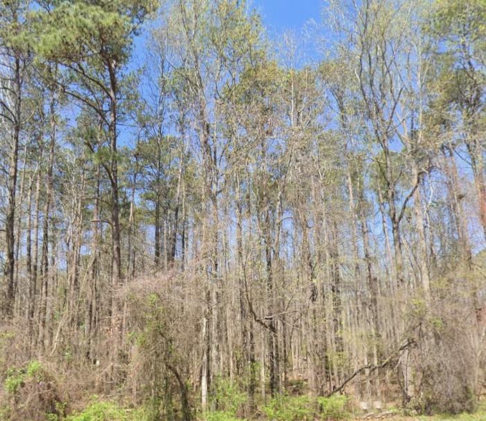 Homesite - Land