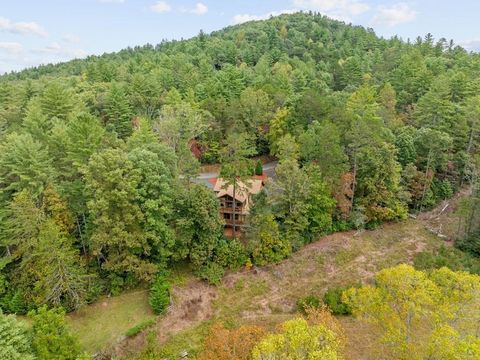 A home in Blue Ridge