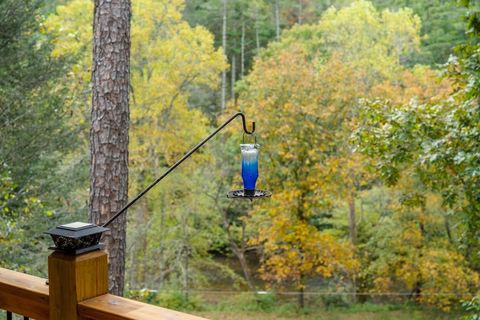 A home in Blue Ridge