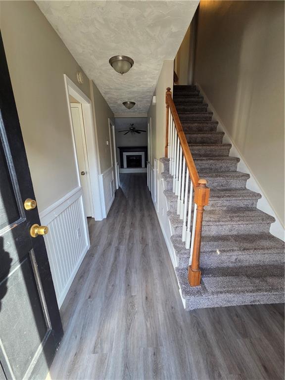 4871 Jenny Drive
