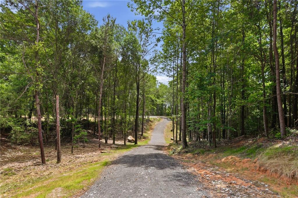 Lot 1 Pete Path