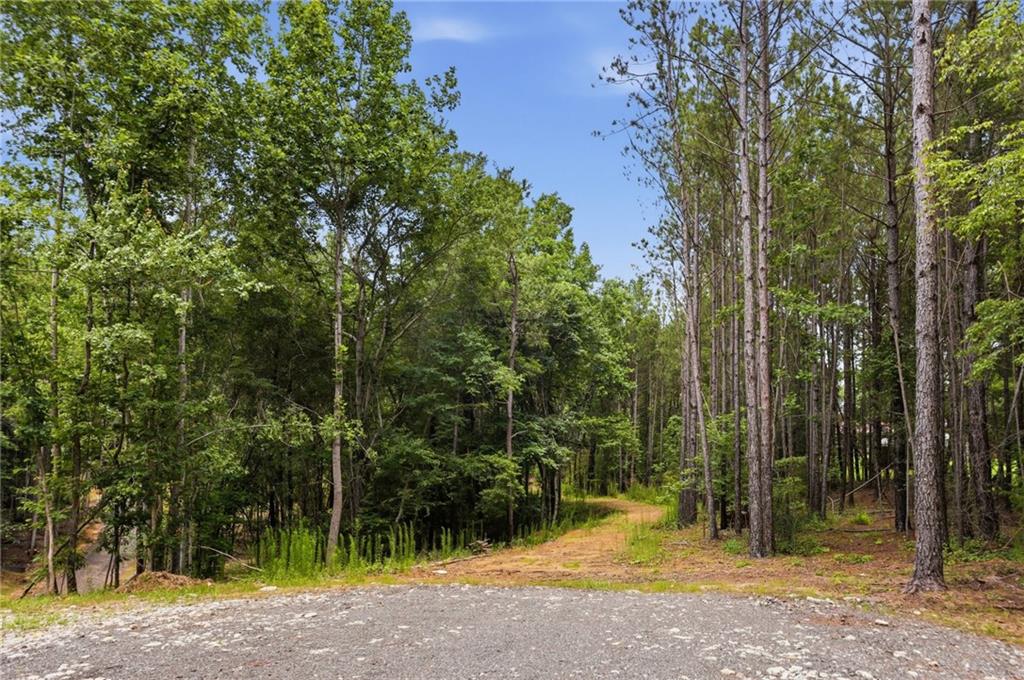Lot 1 Pete Path
