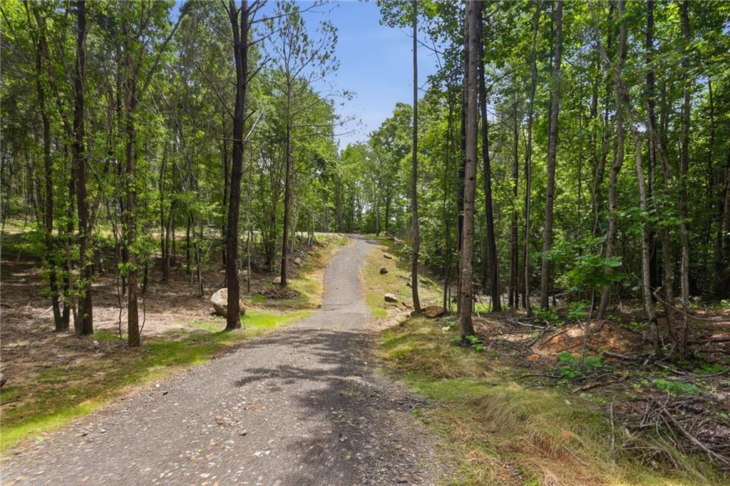 Lot 1 Pete Path