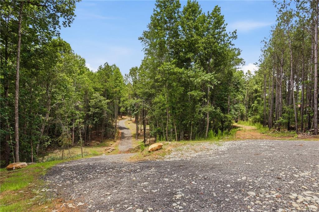 Lot 1 Pete Path