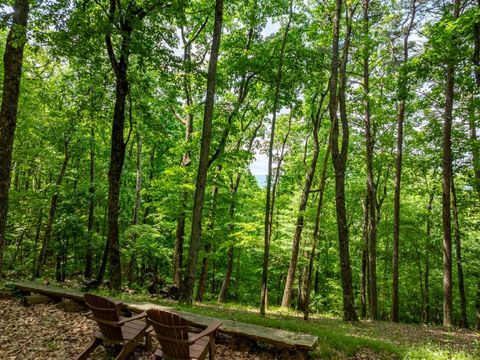 A home in Ellijay