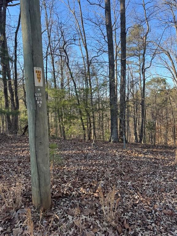 0 Rebekah Ridge Lot 1710