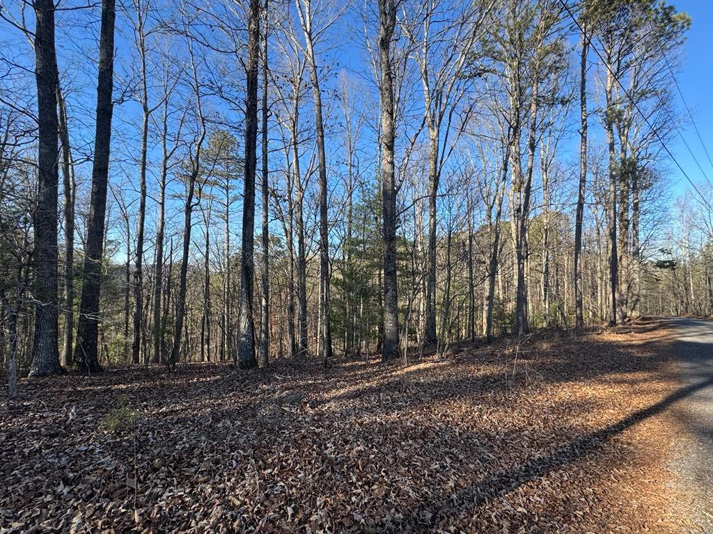 0 Rebekah Ridge Lot 1710