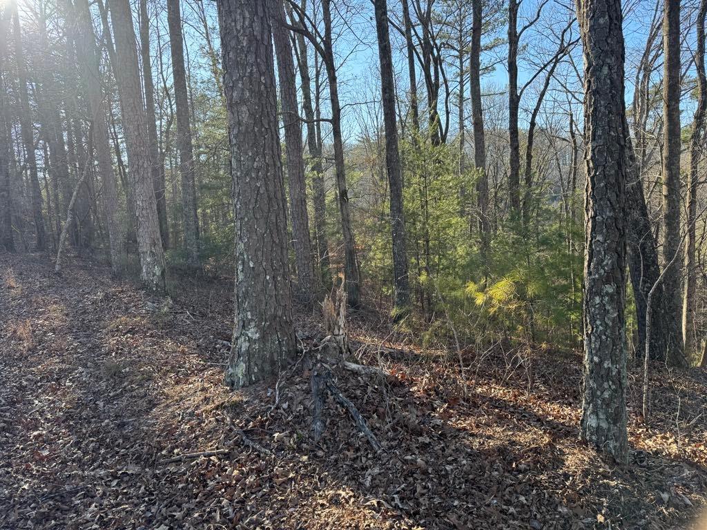 0 Rebekah Ridge Lot 1710