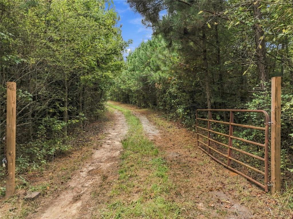 Photo of 208 Garner Road, Cornelia, GA 30531 (MLS # 7840364)