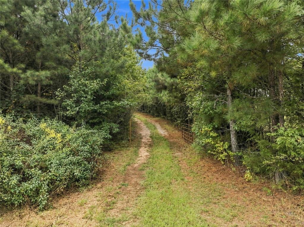 Photo of 208 Garner Road, Cornelia, GA 30531 (MLS # 7840364)