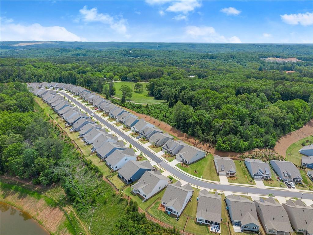 207 Hickory Bluffs Parkway, Canton, Georgia image 50