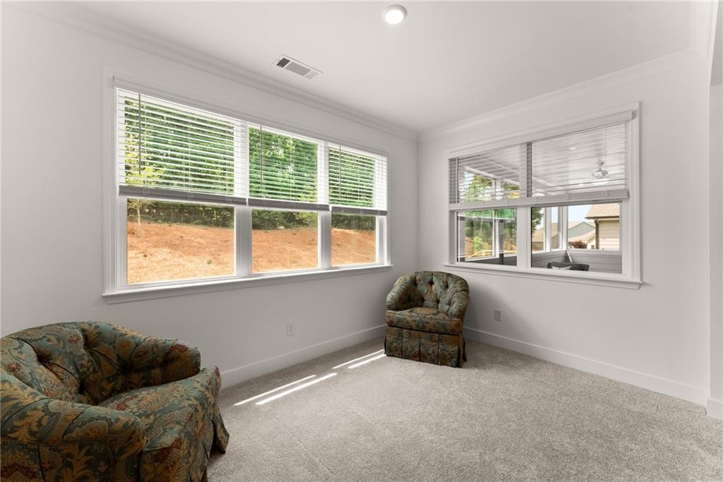 207 Hickory Bluffs Parkway, Canton, Georgia image 27