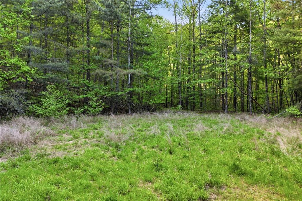 50 Mount Sequoyah Road