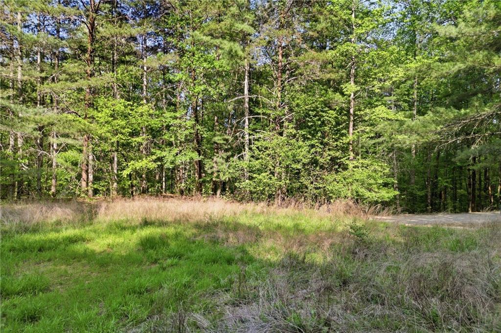 50 Mount Sequoyah Road