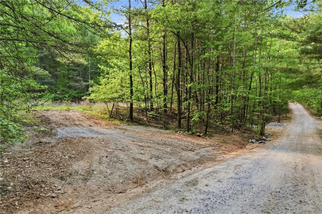 50 Mount Sequoyah Road