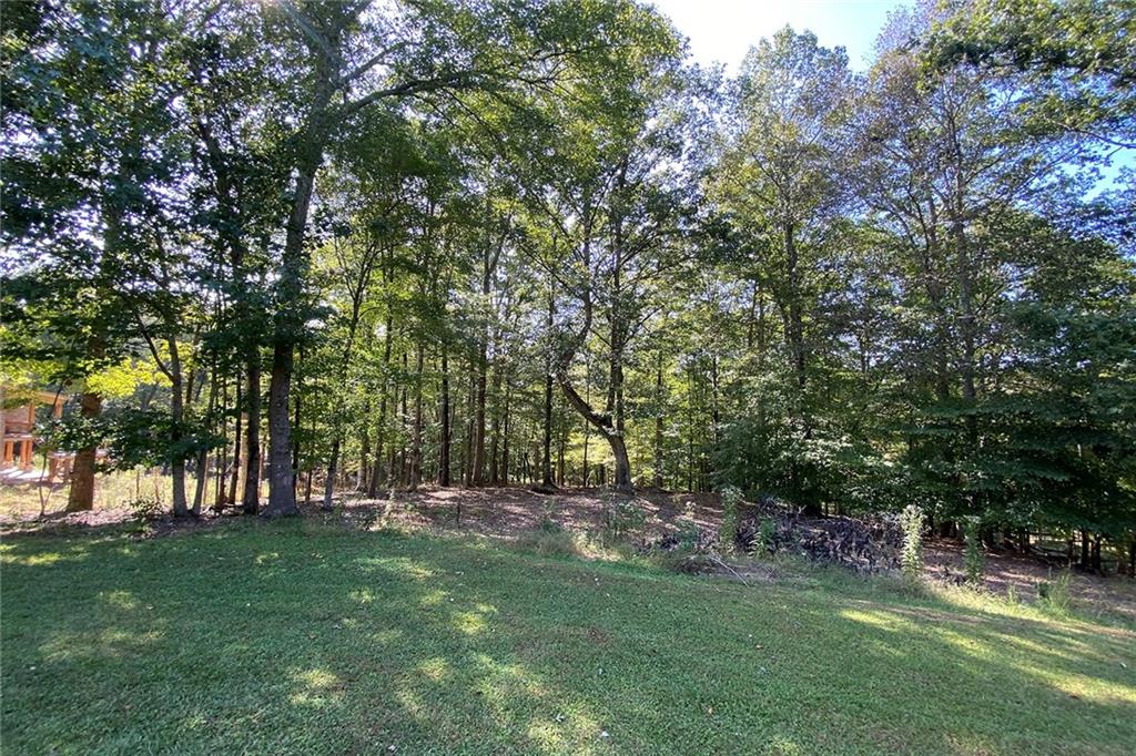 102 Forest Place
