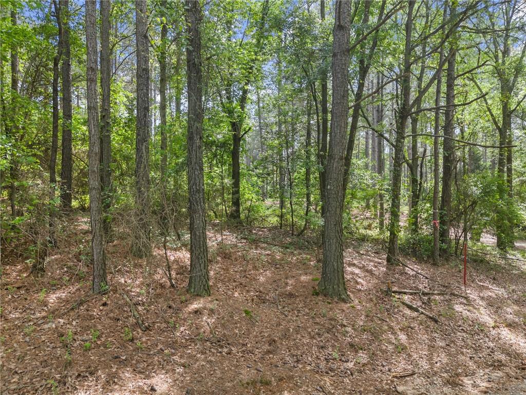 414 Jim Grizzle Road
