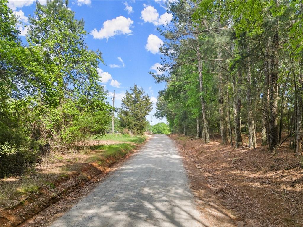414 Jim Grizzle Road, Royston, Georgia image 19