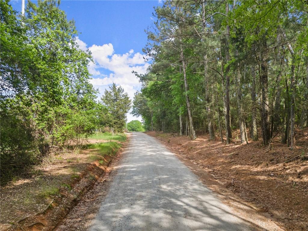 414 Jim Grizzle Road, Royston, Georgia image 20