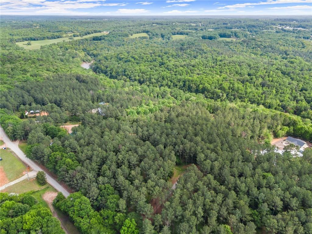 414 Jim Grizzle Road, Royston, Georgia image 18