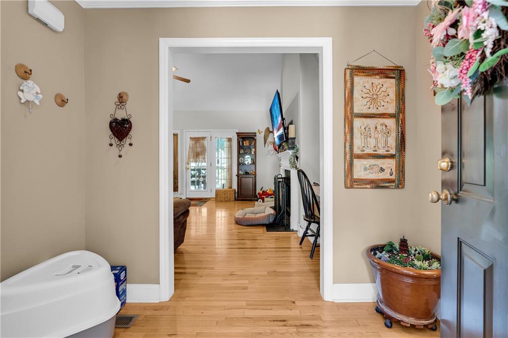 905 Daisy Lane