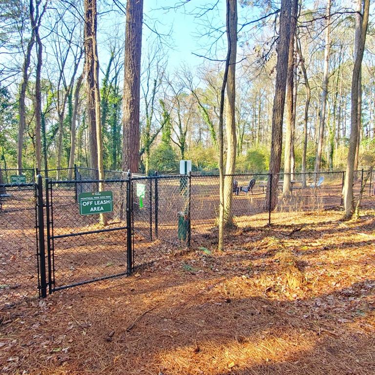 1523 Vancouver Drive, Tucker, Georgia image 45