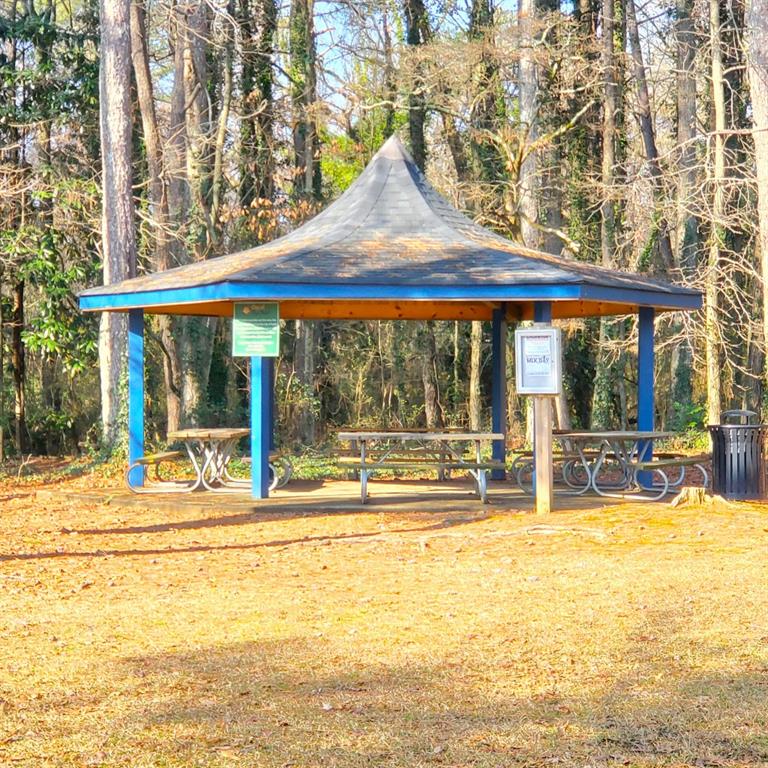 1523 Vancouver Drive, Tucker, Georgia image 43