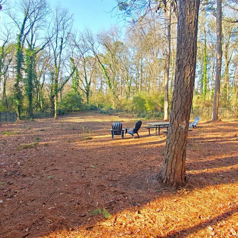 1523 Vancouver Drive, Tucker, Georgia image 46
