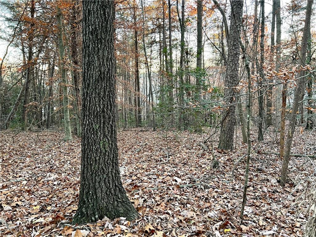 Pebble Creek Lane, Alto, Georgia image 5
