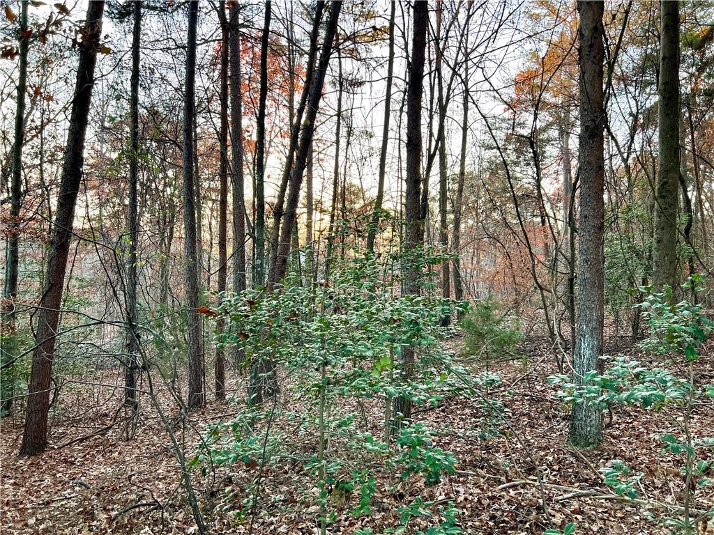 Pebble Creek Lane, Alto, Georgia image 3