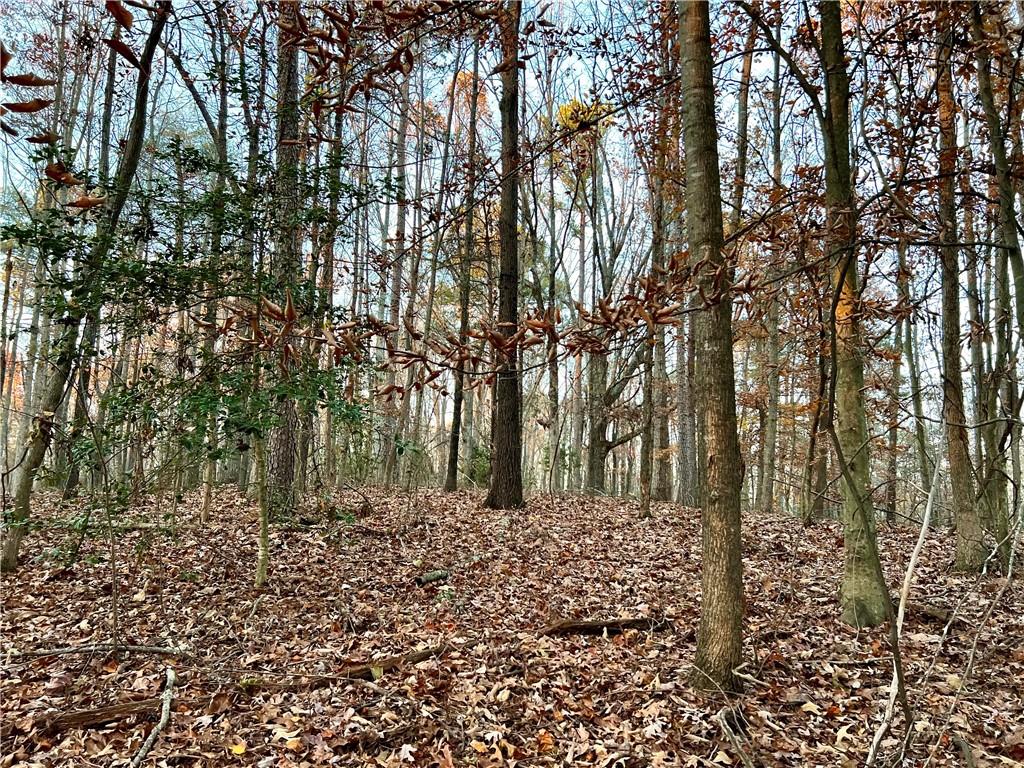 Pebble Creek Lane, Alto, Georgia image 4