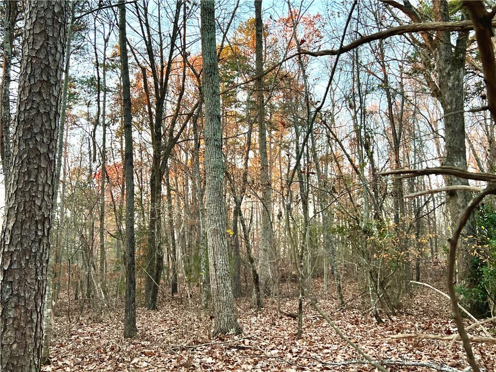 Pebble Creek Lane, Alto, Georgia image 9