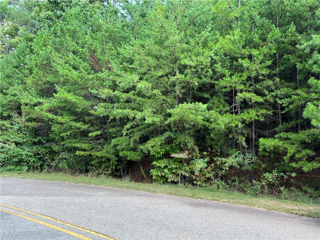 Pebble Creek Lane, Alto, Georgia image 1