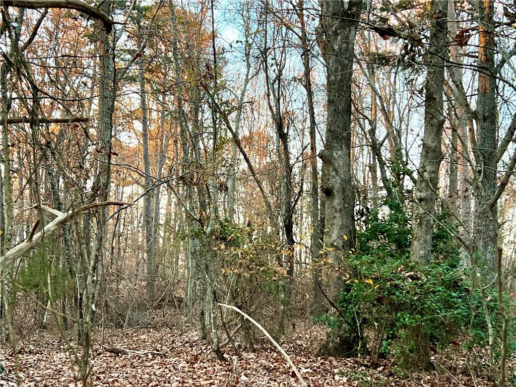 Pebble Creek Lane, Alto, Georgia image 7