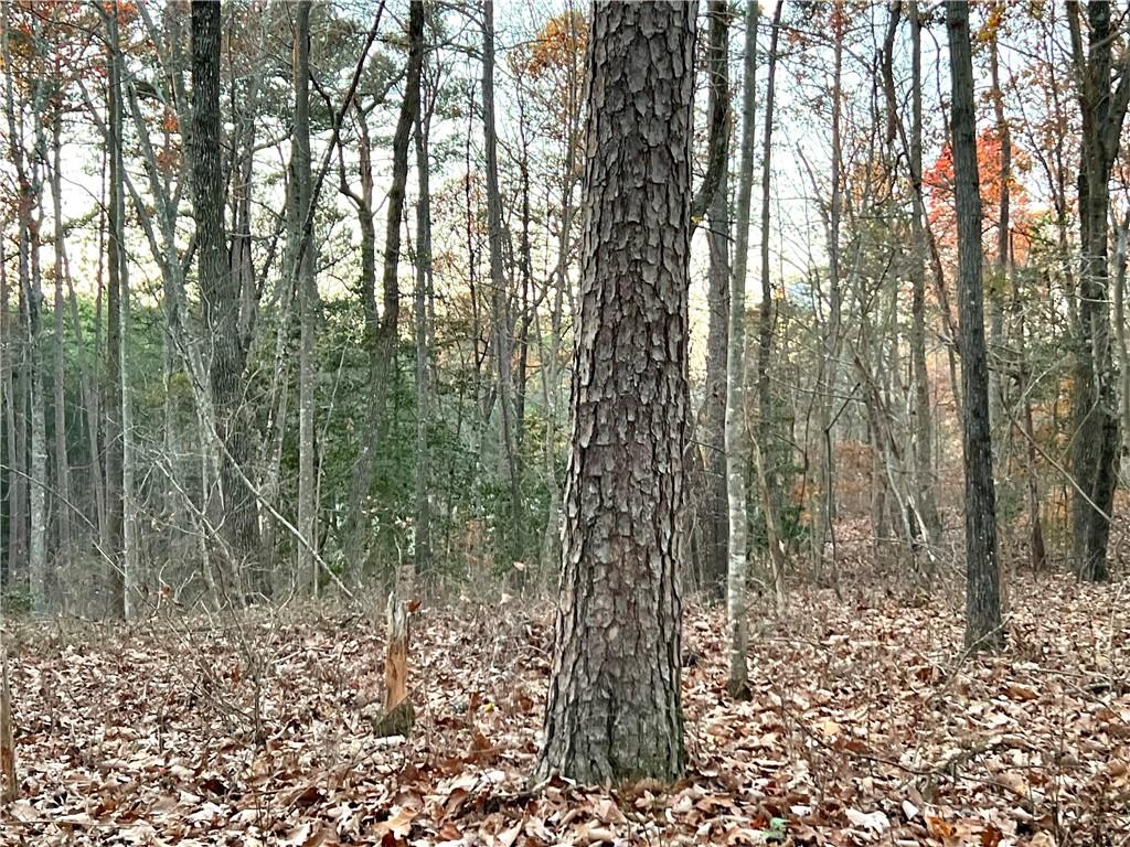Pebble Creek Lane, Alto, Georgia image 8
