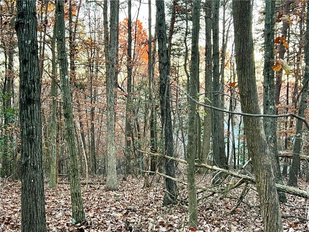 Pebble Creek Lane, Alto, Georgia image 10