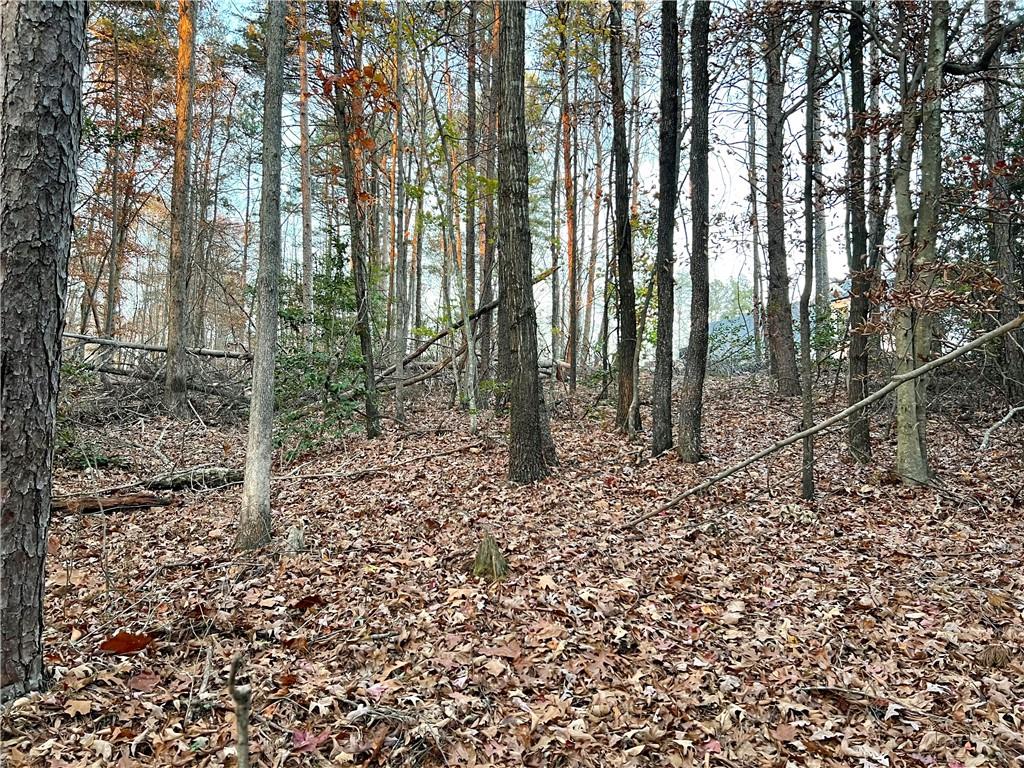 Pebble Creek Lane, Alto, Georgia image 2