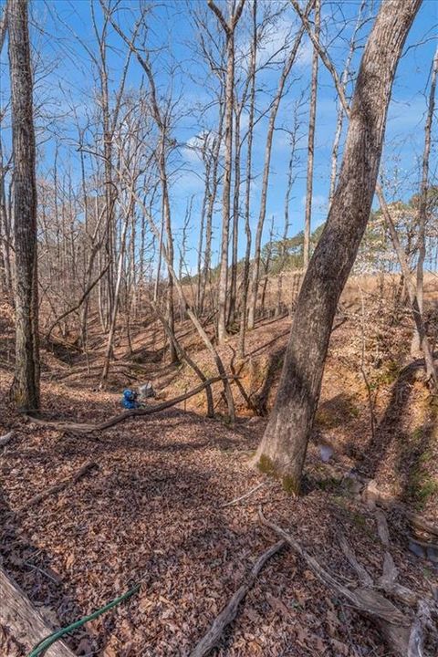 listing image 104