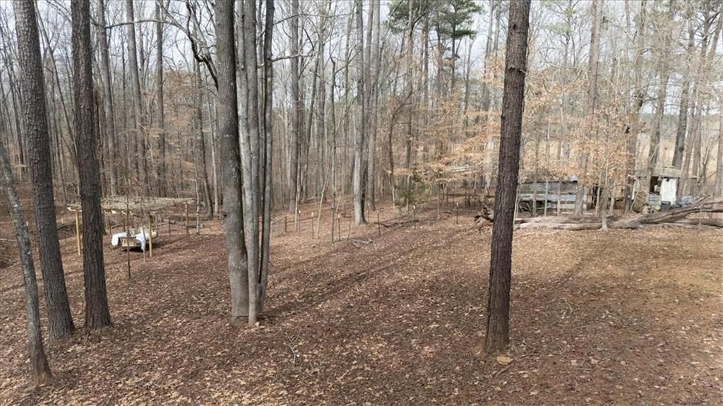 listing image 110