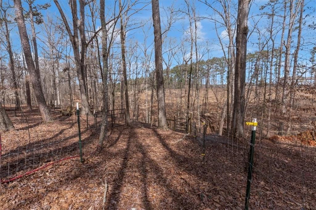 listing image 71