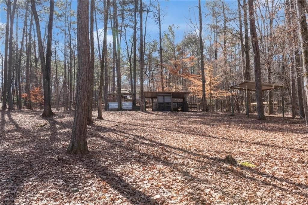 listing image 63