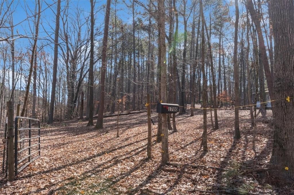 listing image 62